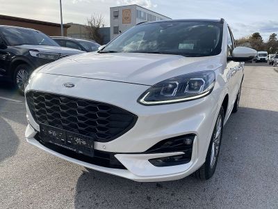 Ford Kuga Gebrauchtwagen