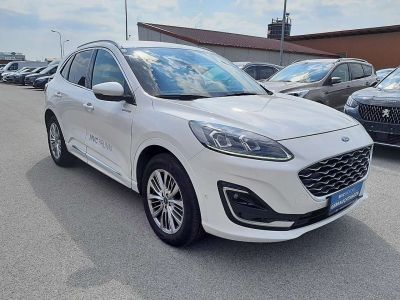 Ford Kuga Gebrauchtwagen