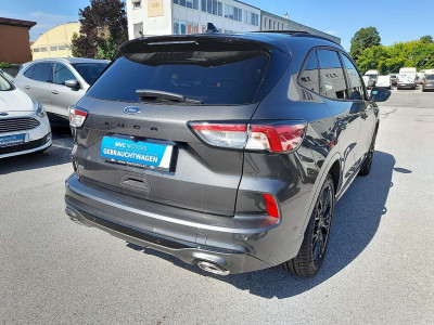 Ford Kuga Vorführwagen