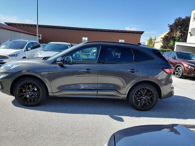 Ford Kuga Vorführwagen