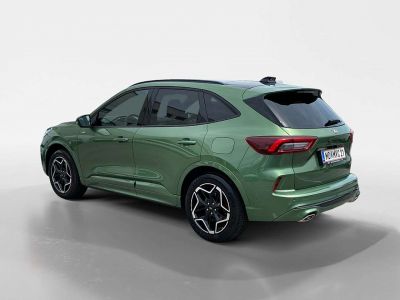 Ford Kuga Vorführwagen Ford Kuga Vorführwagen