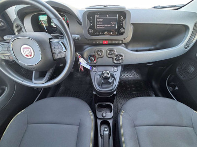 Fiat Panda Gebrauchtwagen Fiat Panda Gebrauchtwagen