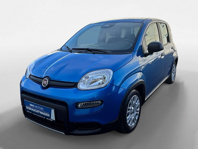 Fiat Panda Gebrauchtwagen