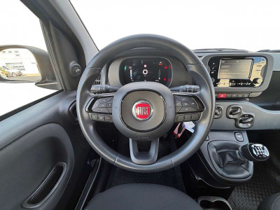 Fiat Panda Gebrauchtwagen Fiat Panda Gebrauchtwagen