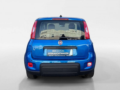 Fiat Panda Gebrauchtwagen Fiat Panda Gebrauchtwagen