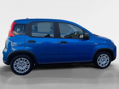 Fiat Panda Gebrauchtwagen Fiat Panda Gebrauchtwagen