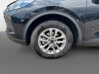 Ford Kuga Vorführwagen Ford Kuga Vorführwagen