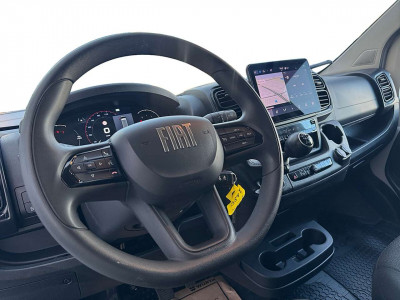 Fiat Ducato Gebrauchtwagen