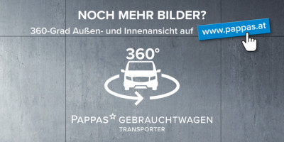 Renault Trafic Gebrauchtwagen