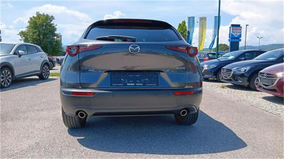 Mazda CX-30 Gebrauchtwagen