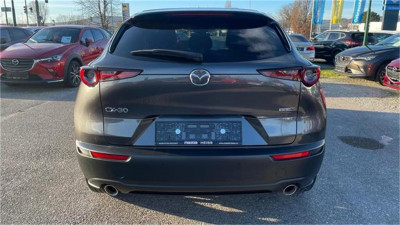 Mazda CX-30 Gebrauchtwagen