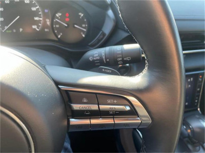 Mazda MX-30 Vorführwagen