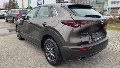 Mazda CX-30 Gebrauchtwagen Mazda CX-30 Gebrauchtwagen