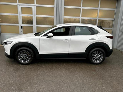 Mazda CX-30 Gebrauchtwagen