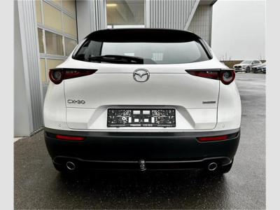 Mazda CX-30 Gebrauchtwagen