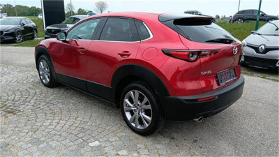 Mazda CX-30 Gebrauchtwagen