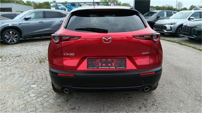 Mazda CX-30 Gebrauchtwagen