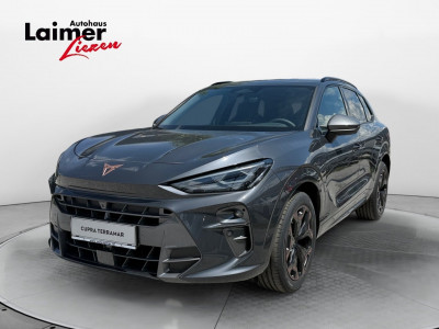Cupra Terramar Gebrauchtwagen Cupra Terramar Gebrauchtwagen