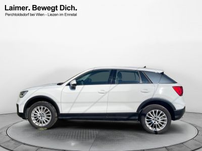 Audi Q2 Gebrauchtwagen