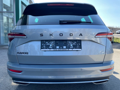 Skoda Karoq Gebrauchtwagen