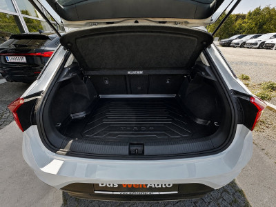 VW T-Roc Gebrauchtwagen VW T-Roc Gebrauchtwagen