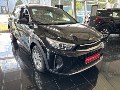 KIA Stonic Tageszulassung