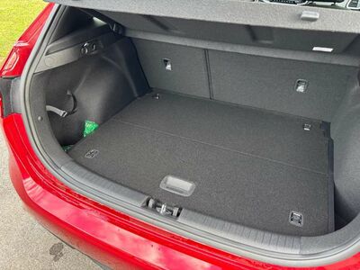 KIA Ceed Neuwagen KIA Ceed Neuwagen