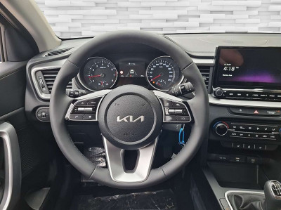 KIA Ceed Neuwagen