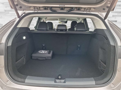 MG HS Tageszulassung