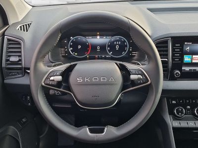 Skoda Karoq Vorführwagen