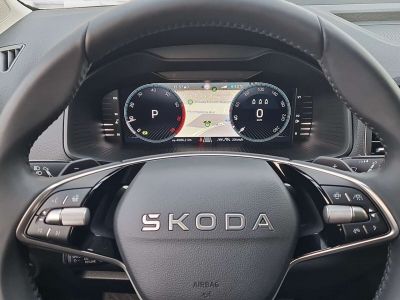 Skoda Karoq Vorführwagen