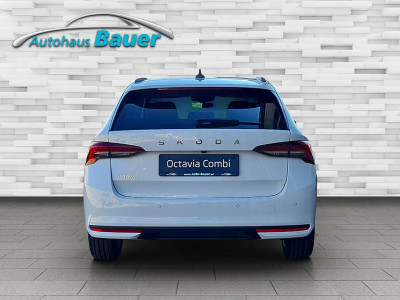 Skoda Octavia Tageszulassung Skoda Octavia Tageszulassung