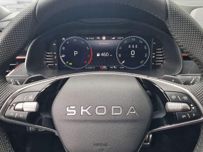 Skoda Scala Tageszulassung Skoda Scala Tageszulassung
