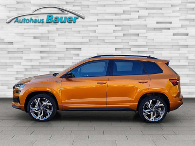 Skoda Karoq Gebrauchtwagen