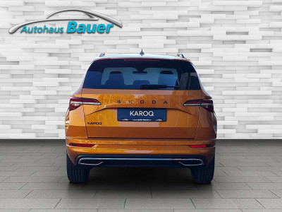 Skoda Karoq Gebrauchtwagen