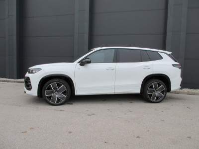 VW Tayron Gebrauchtwagen VW Tayron Gebrauchtwagen