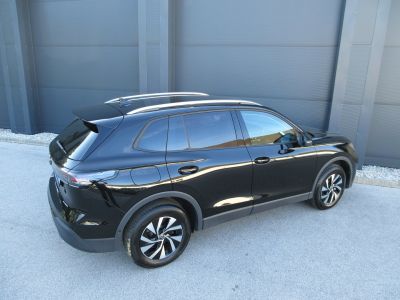 VW Tiguan Gebrauchtwagen VW Tiguan Gebrauchtwagen