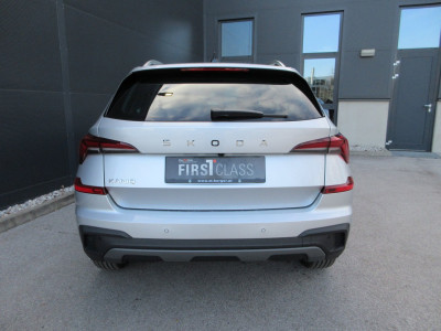 Skoda Kamiq Gebrauchtwagen