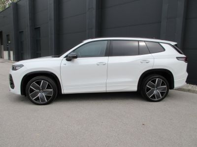 VW Tayron Gebrauchtwagen VW Tayron Gebrauchtwagen