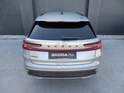Skoda Kodiaq Gebrauchtwagen Skoda Kodiaq Gebrauchtwagen