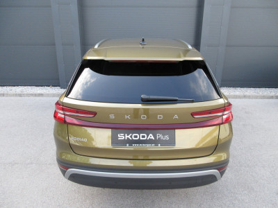 Skoda Kodiaq Gebrauchtwagen Skoda Kodiaq Gebrauchtwagen