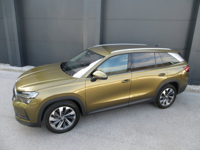Skoda Kodiaq Gebrauchtwagen Skoda Kodiaq Gebrauchtwagen