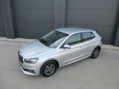 Skoda Fabia Gebrauchtwagen Skoda Fabia Gebrauchtwagen