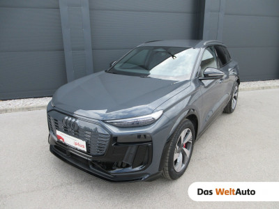 Audi Q6 e-tron Gebrauchtwagen