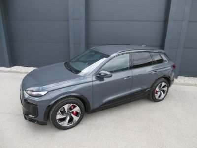 Audi Q6 e-tron Gebrauchtwagen