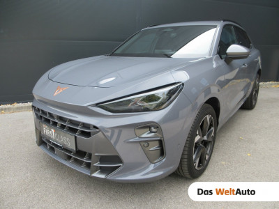 Cupra Terramar Gebrauchtwagen Cupra Terramar Gebrauchtwagen