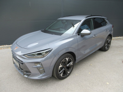 Cupra Terramar Gebrauchtwagen Cupra Terramar Gebrauchtwagen