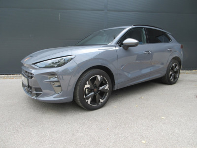 Cupra Terramar Gebrauchtwagen Cupra Terramar Gebrauchtwagen