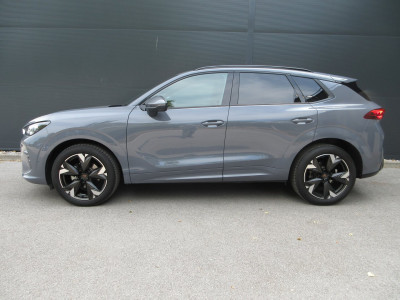 Cupra Terramar Gebrauchtwagen Cupra Terramar Gebrauchtwagen