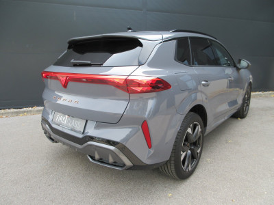Cupra Terramar Gebrauchtwagen Cupra Terramar Gebrauchtwagen